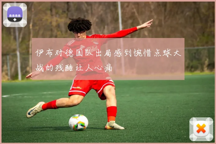 伊布对德国队出局感到惋惜点球大战的残酷让人心痛
