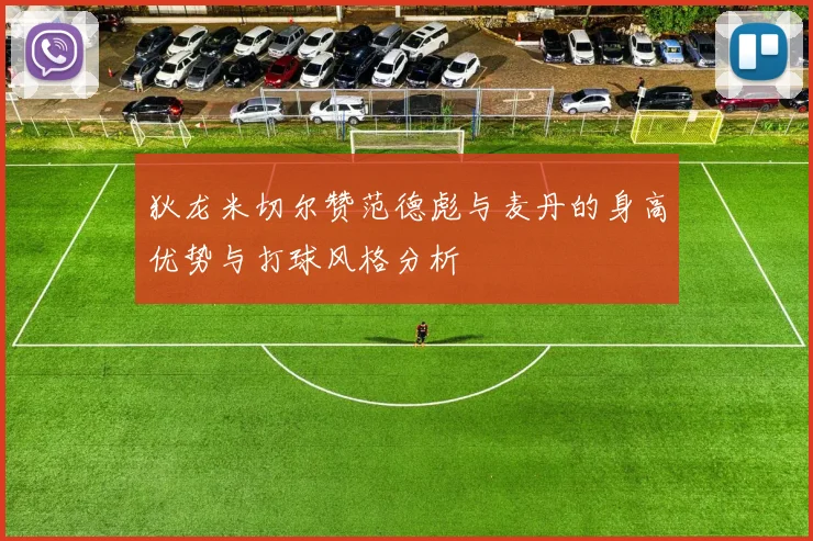 狄龙米切尔赞范德彪与麦丹的身高优势与打球风格分析